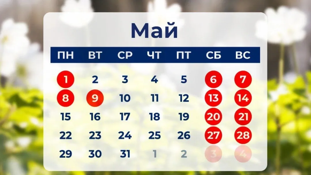 Минтруд: В мае россиян ждёт 11 нерабочих дней и две короткие трудовые недели  | «Красный Север»