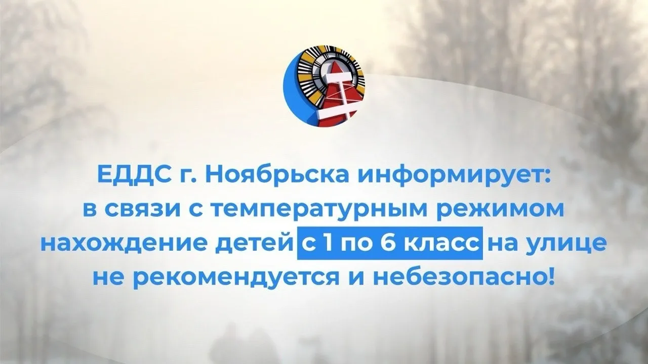 Актировки: что это, какая должна быть температура, кто принимает решение и  другие правила | «Красный Север»