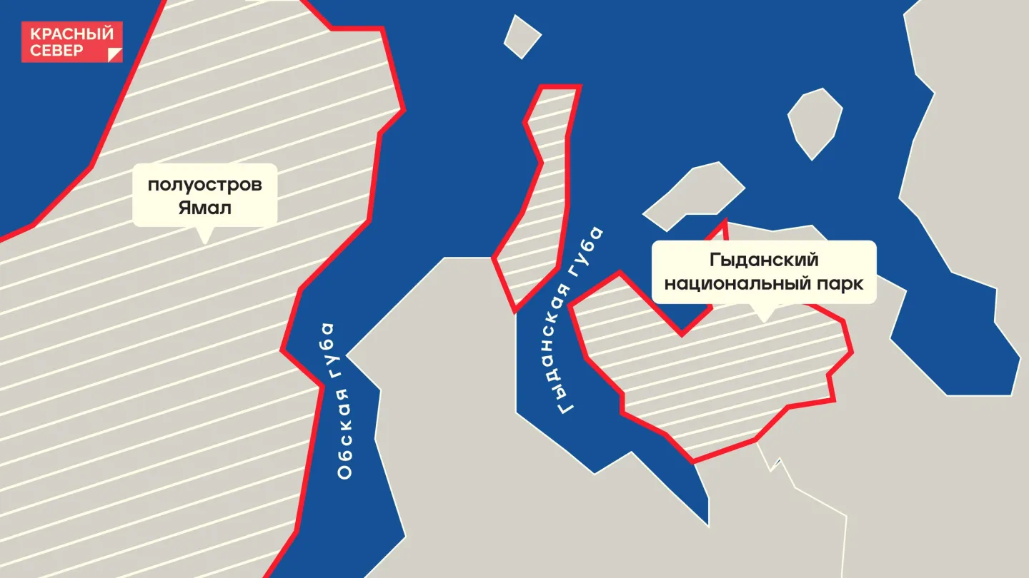 Гыданский полуостров: месторождения, нацпарк — чем интересен ямальский  Гыдан | «Красный Север»