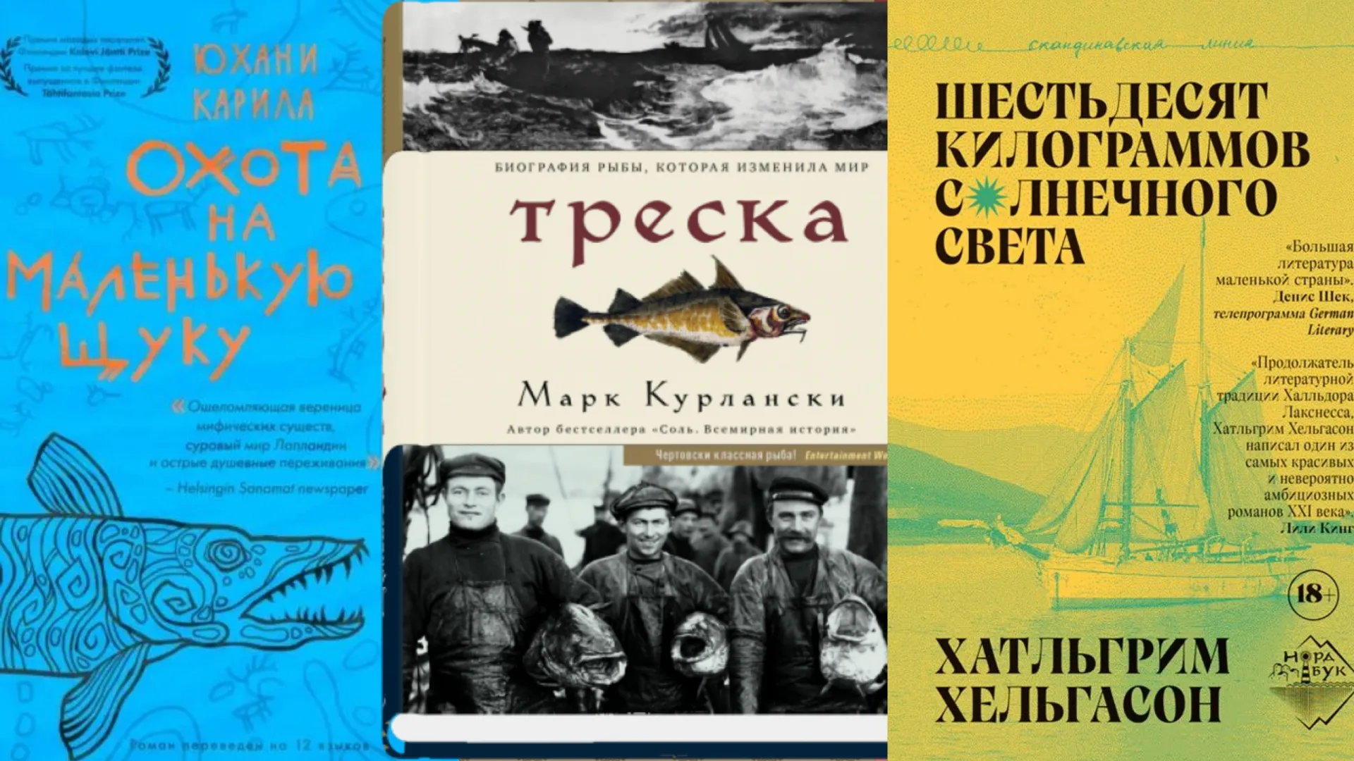 Рыбный день. Молодая колдунья, влиятельный вид и косяк сельди | «Красный  Север»