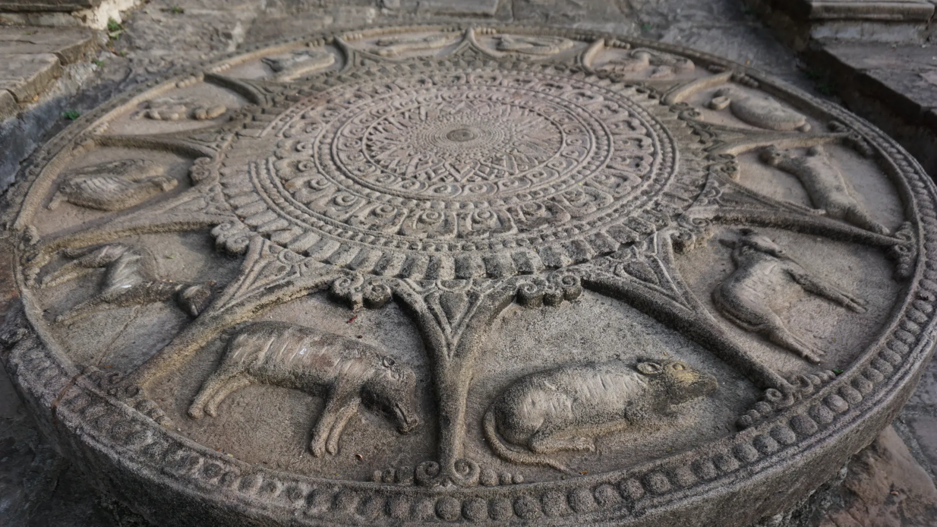 Древнее изображение китайского зодиакального круга. Фото: Shutter_fern168 / Shutterstock / Fotodom