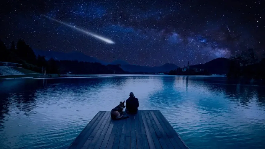 Звезды и кометы подарят яркие впечатления любителям смотреть на ночное небо. Фото: marcin jucha/Shutterstock/Fotodom
