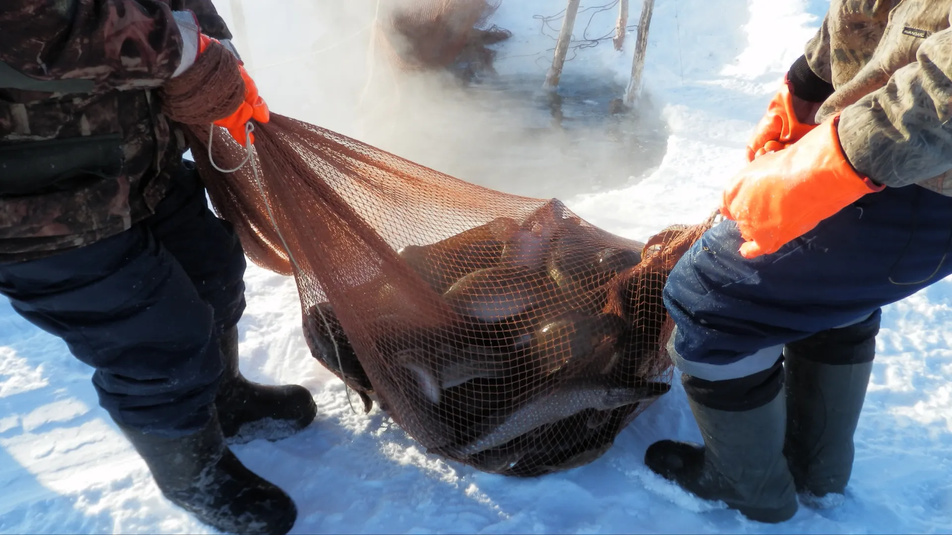 Порой один фитиль с трудом достают несколько рыбаков. Фото: Владимир Ганчерко / «Ямал-Медиа»