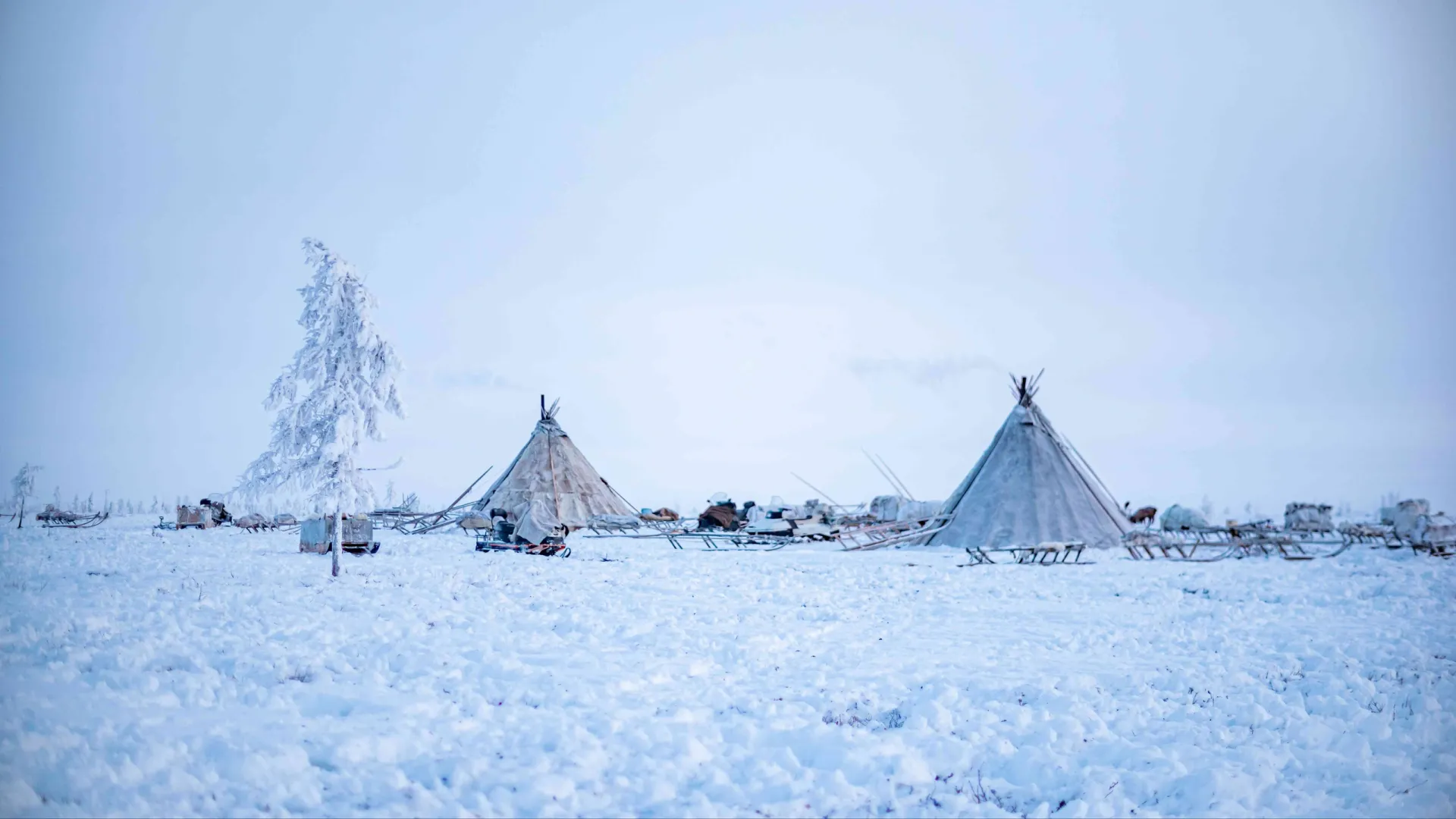 Лунка в море, точка в тундре. Как ориентируется кочевник | «Красный Север»