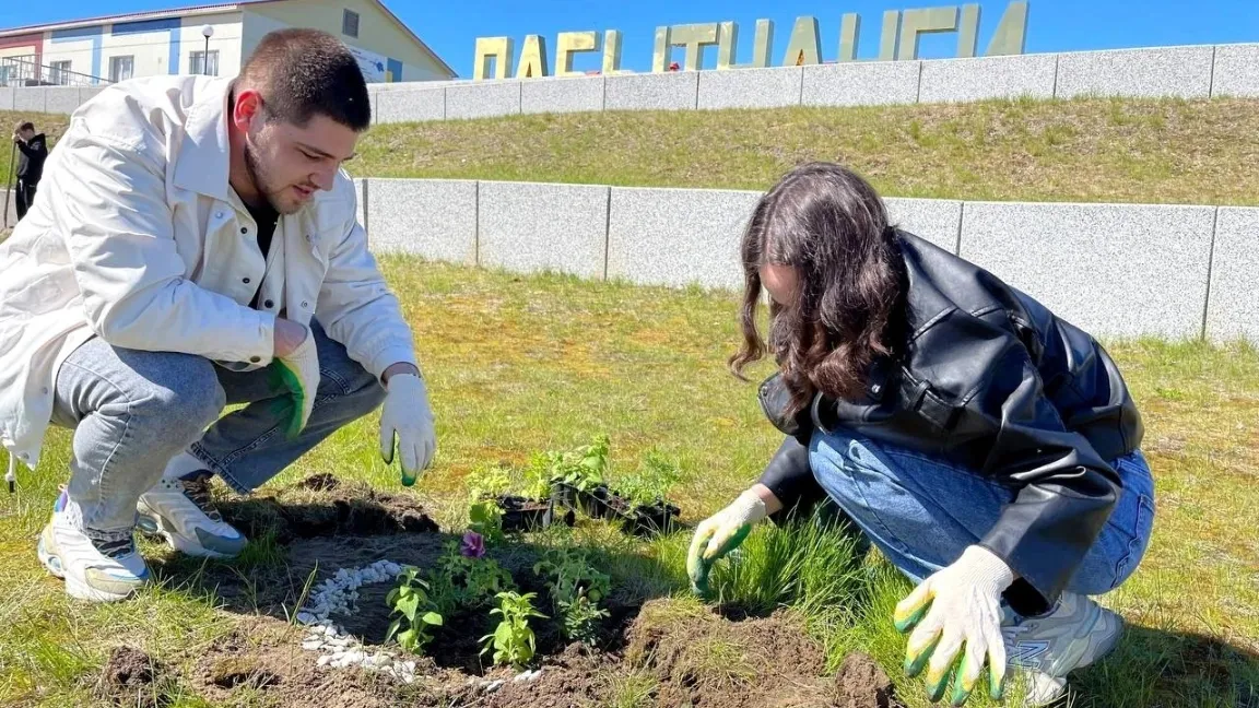 Ямальцы начали создавать семейные клумбы. Фото: vk.com/treskova_ma