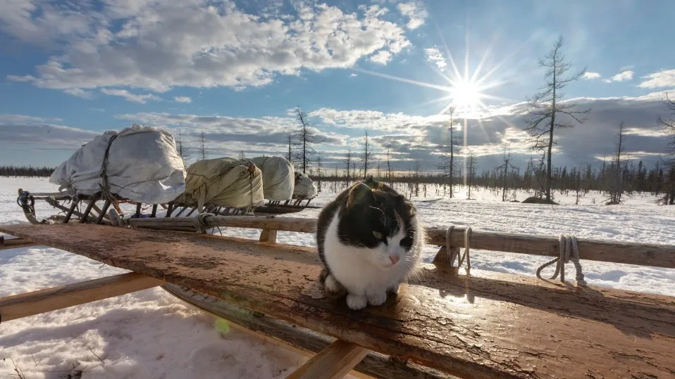 Фото: предоставлено Сергеем Галко