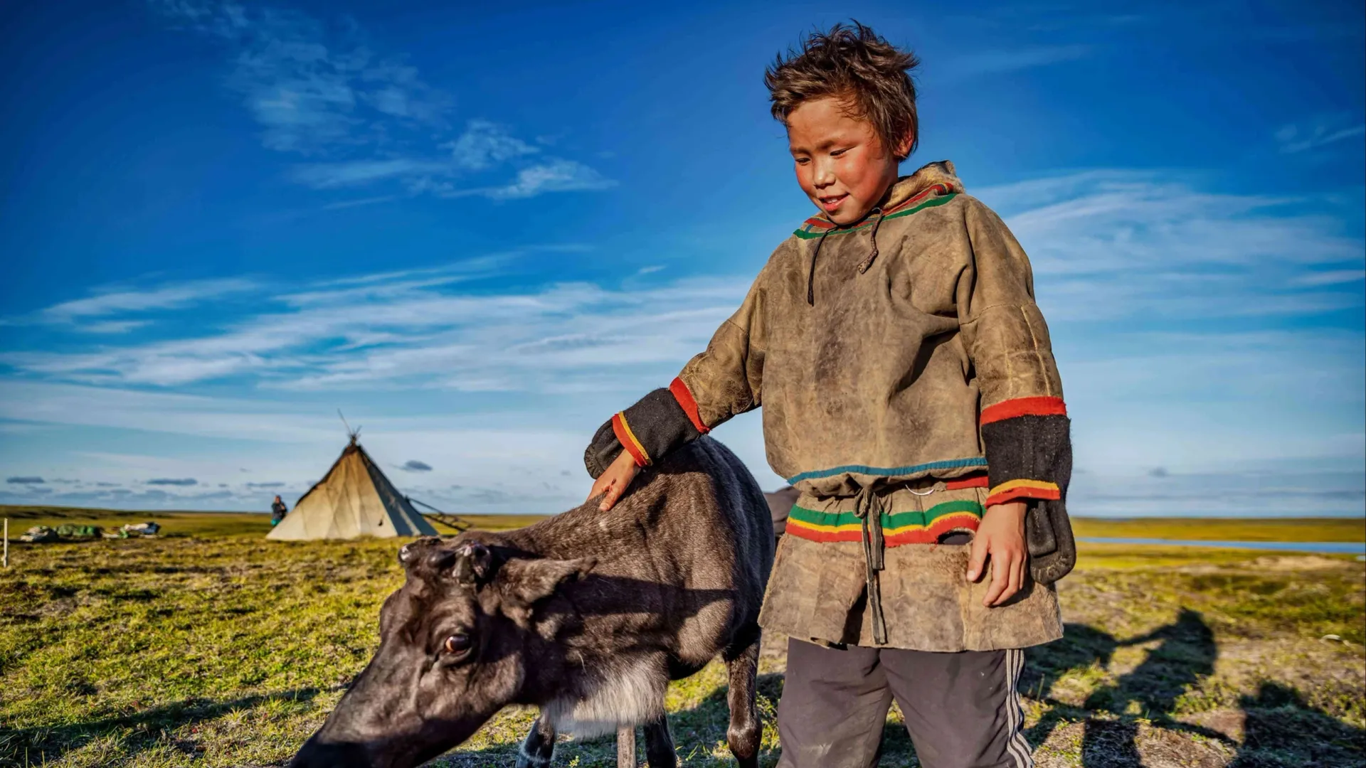 Юным кочевникам нет нужды выпрашивать у родителей домашних питомцев. Фото: Равиль Сафарбеков