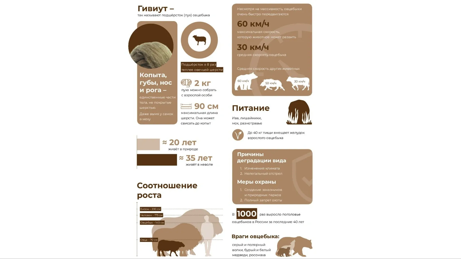 Инфографика: Олеся Меркулова / «Ямал-Медиа»