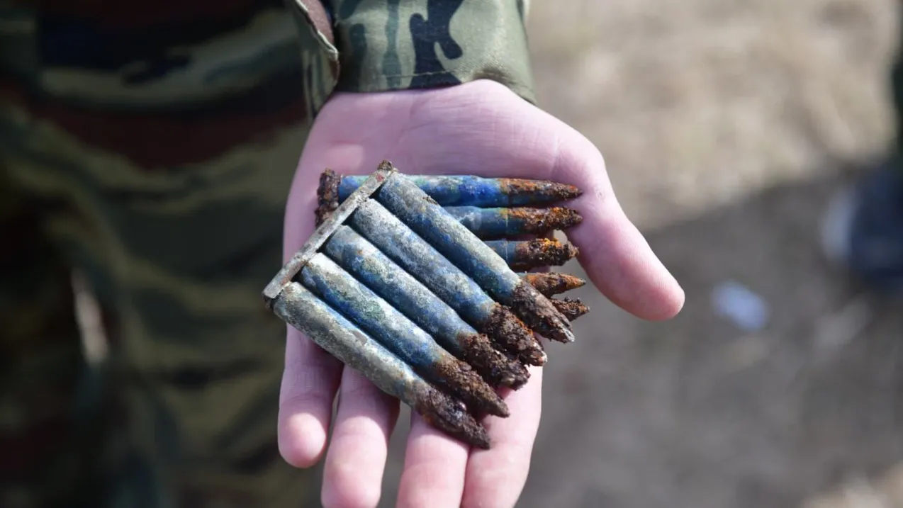 Часто в раскопах находят боеприпасы. Фото: Андрей Ткачёв / «Ямал-Медиа»