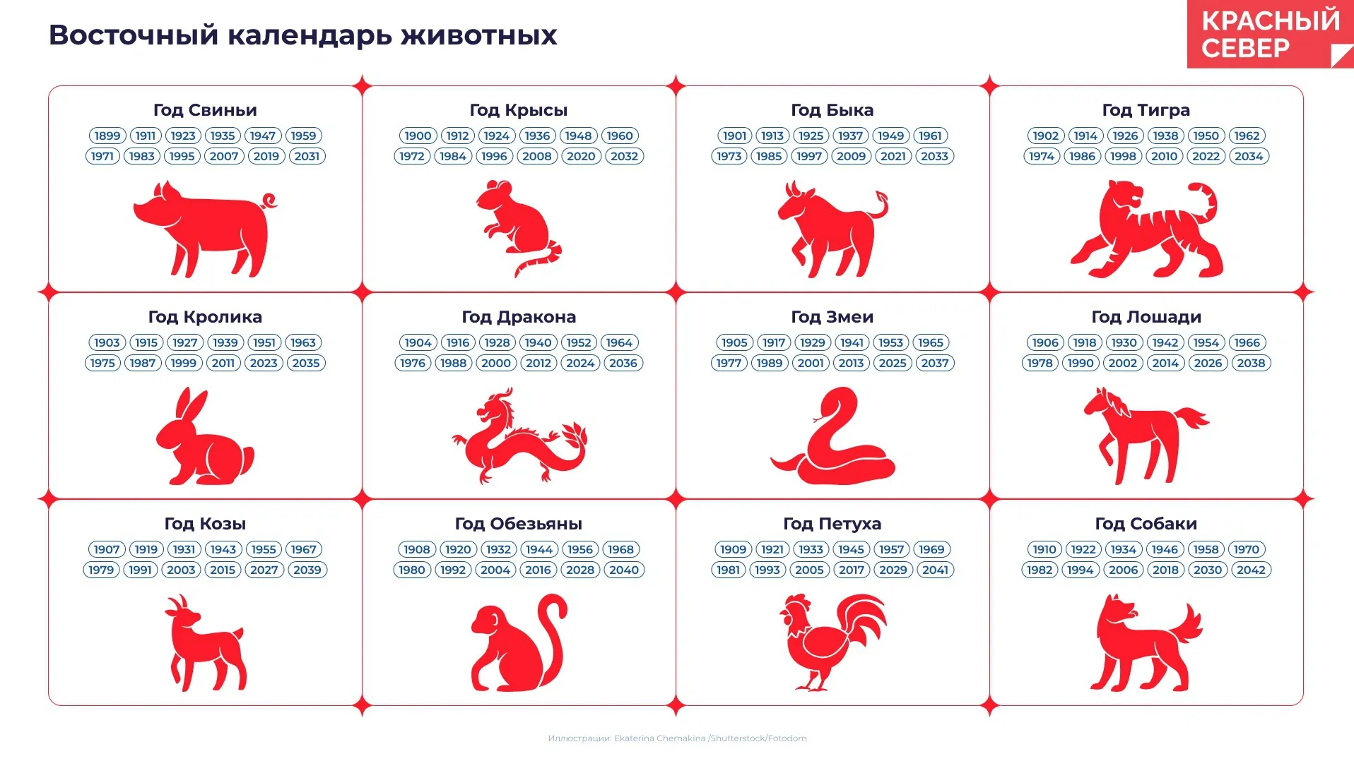 В восточном календаре — 12 животных. Инфографика: Татьяна Бояринова/«Ямал-Медиа» 