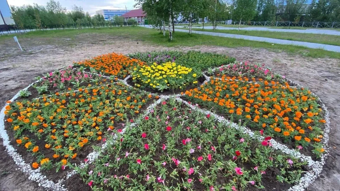 В Красноселькупе высадят 11 000 цветов. Фото: telegram-канал Юрия Фишера