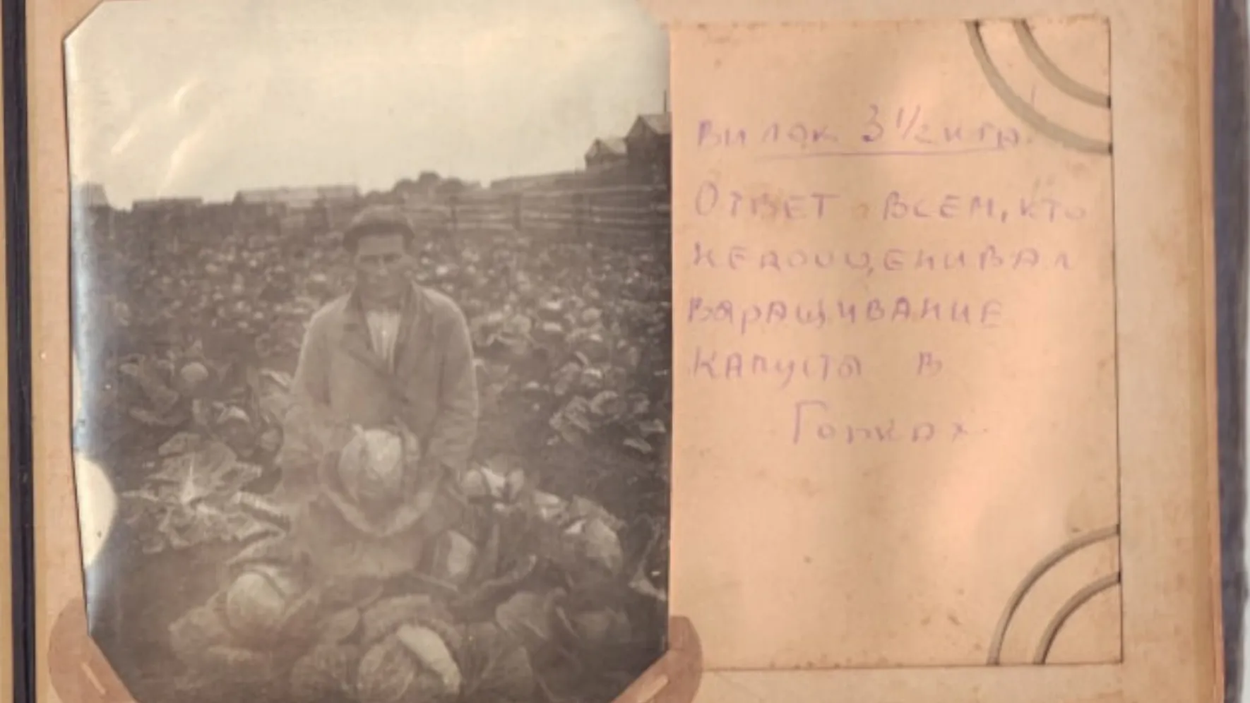 Урожай капусты в Горках. Фото предоставлено Шурышкарским районным музейным комплексом имени Г. С. Пузырёва