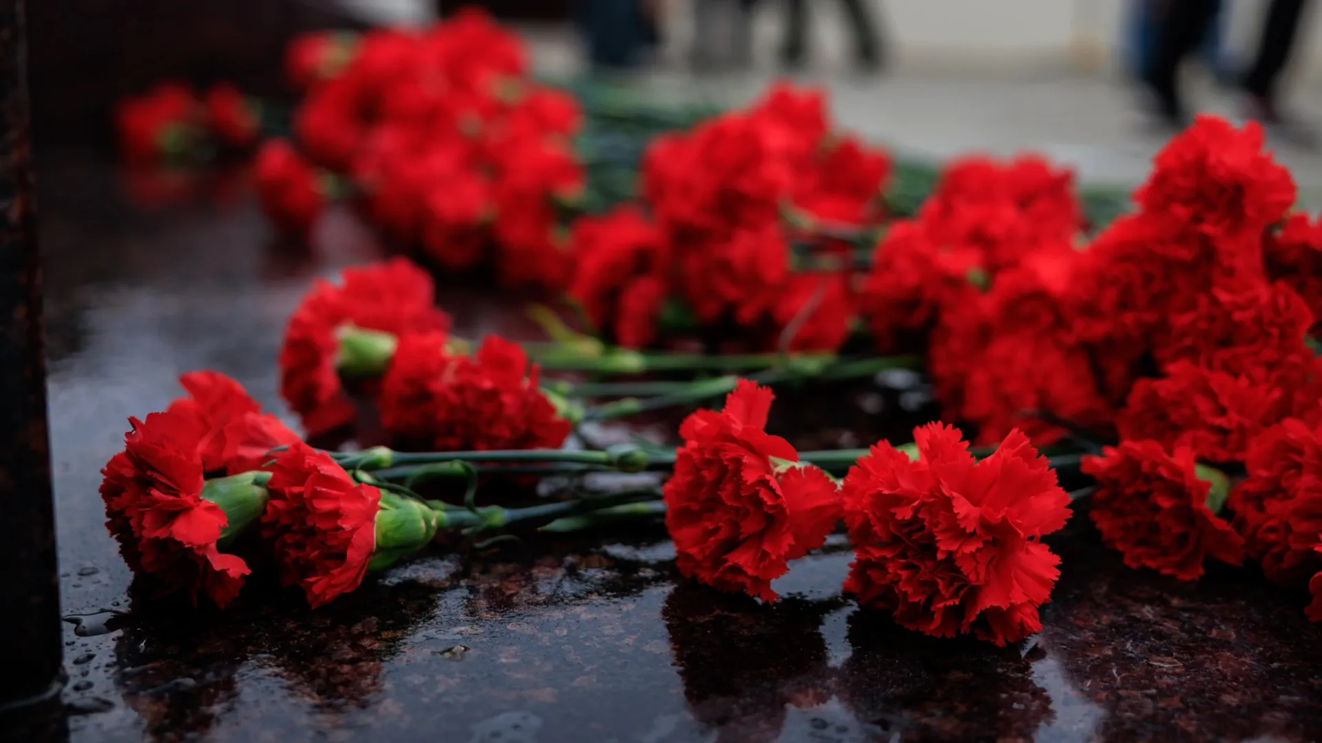 9 мая в Лабытнанги и Харпе: в программе концерты, митинги, конкурсы |  «Красный Север»