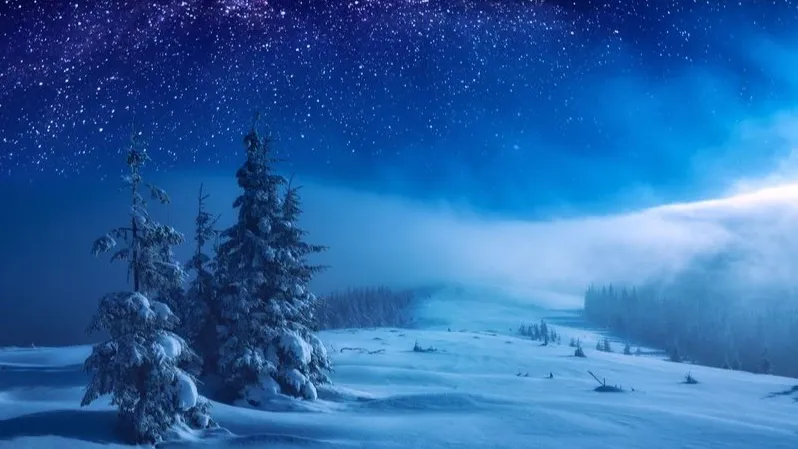 Звездная и снежная «староновогодняя» ночь сулит богатый урожай и счастье. Фото: Vitalii Bashkatov /Shutterstock/Fotodom