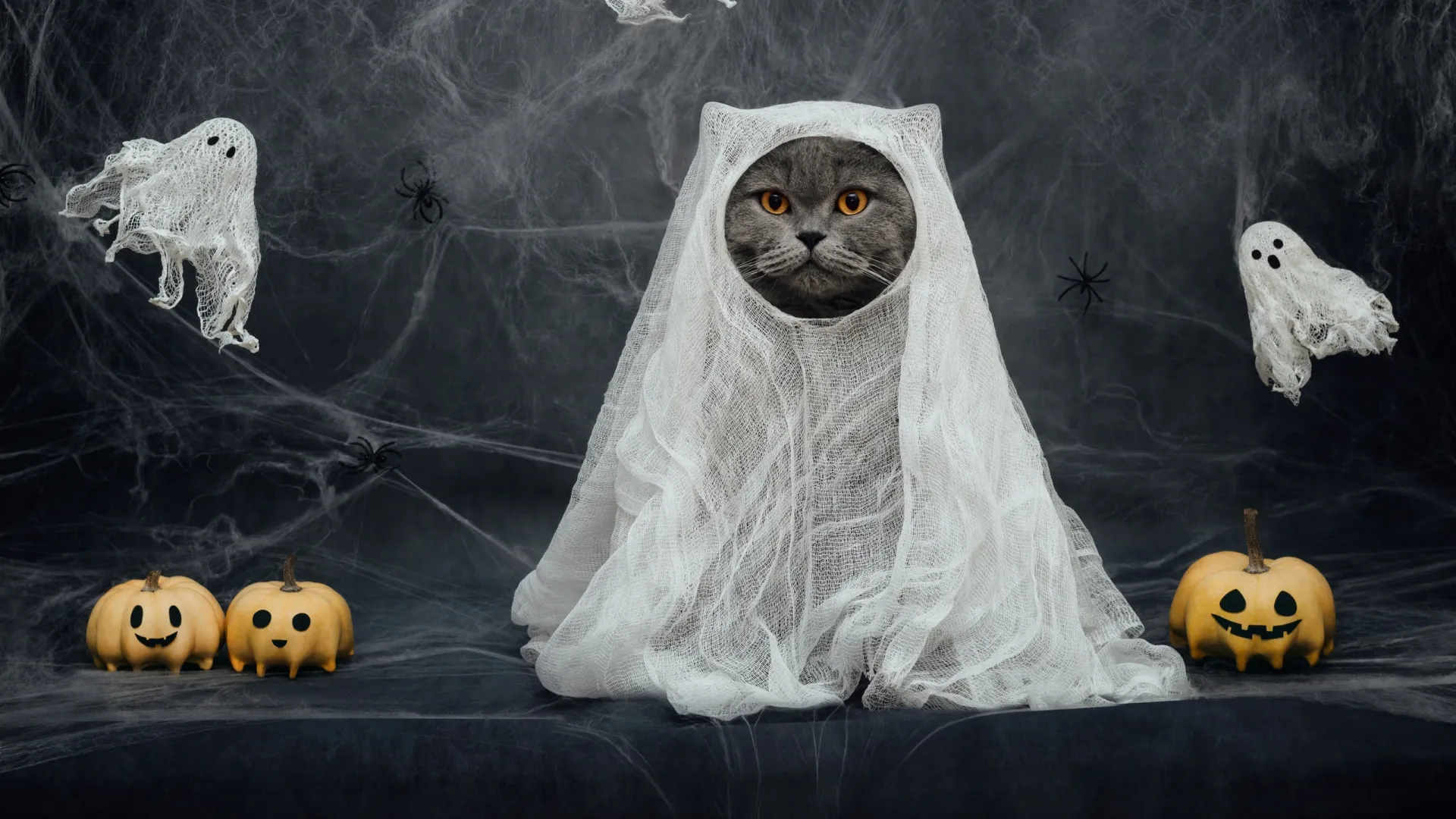 Все страхи Хэллоуина в одной картинке. Фото: miss.lemon / Shutterstock / Fotodom