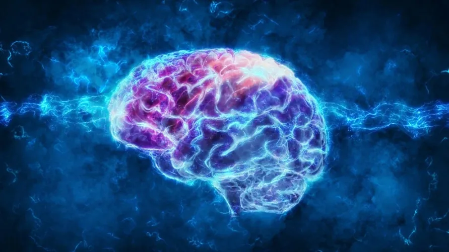 Мозг требует повышенного внимания и бережного отношения. Фото: Andrus Ciprian/Shutterstock/Fotodom