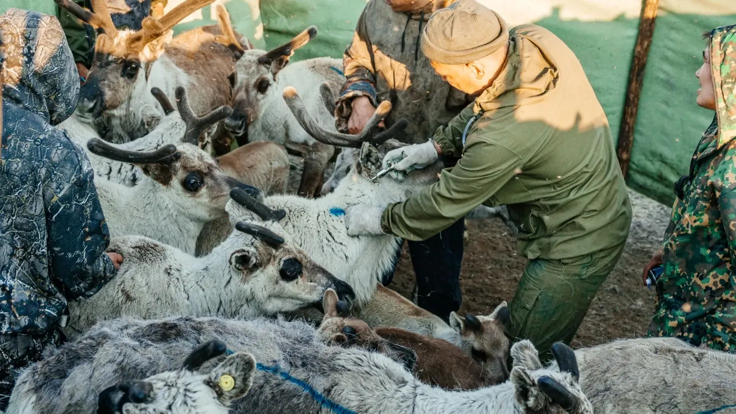 Фото: Юлия Чудинова / «Ямал-Медиа»