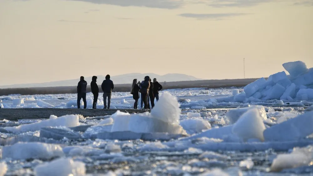 Эффектные «себяшки» получаются на фоне выползших на берег огромных льдин. Фото: Андрей Ткачёв / «Ямал-Медиа»