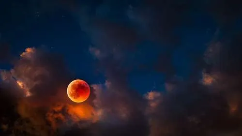 Фото: eclipse/Shutterstock/Fotodom