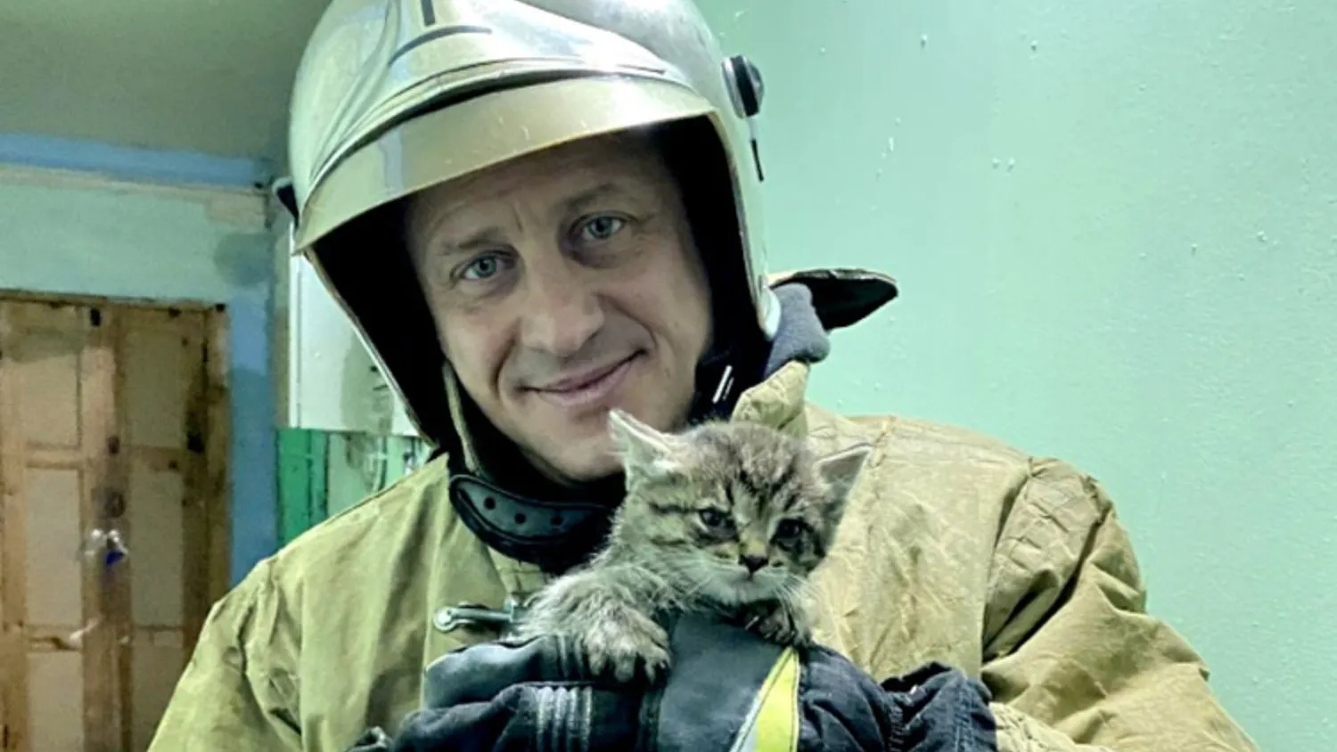 В Салехарде команда пожарных выманивала застрявшего котёнка на «мяу»