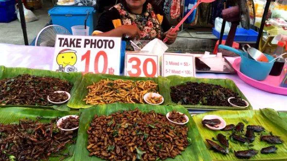 Попробовать жука – обязательное условие отдыха в Тайланде