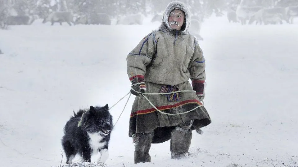 «Напарники», 1 место в номинации «Народы Арктики». Фото: Сергей Русанов