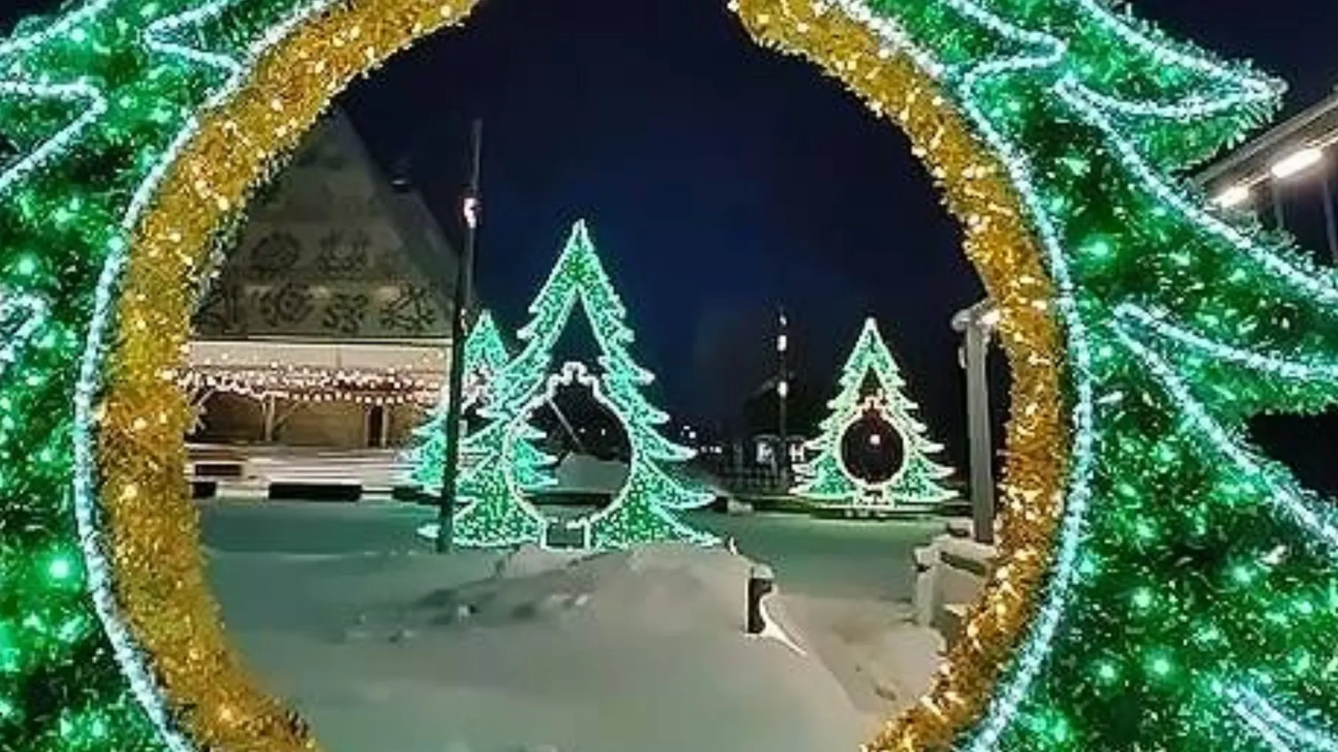 Новогодние деревца создали праздничную атмосферу. Кадр из видео: vk.com/treskova_ma