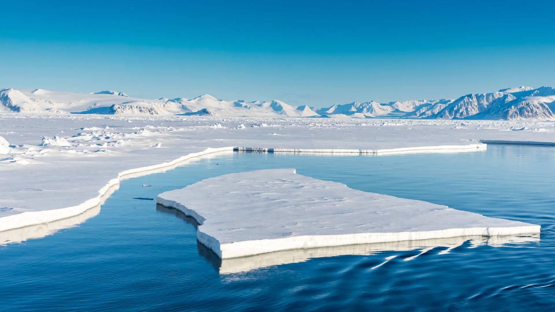 В викторине об Арктике нужно было ответить на 20 вопросов. Фото: Risto Raunio/Shutterstock/Fotofom