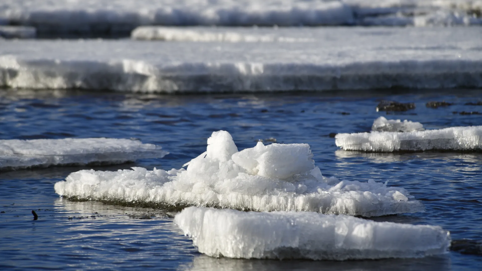Не тонущая в воде льдина — добрый знак. Фото: Андрей Ткачев / АНО «Ямал-Медиа»