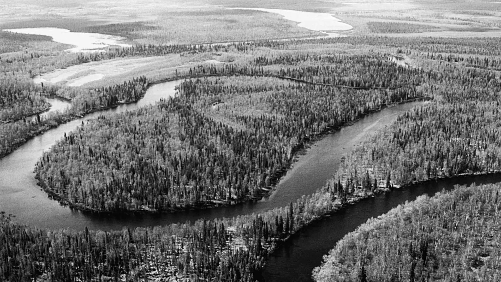Ямал не зря называют краем озёр и болот. Здесь легко можно потеряться. Фото: из архива «Ямал-Медиа»
