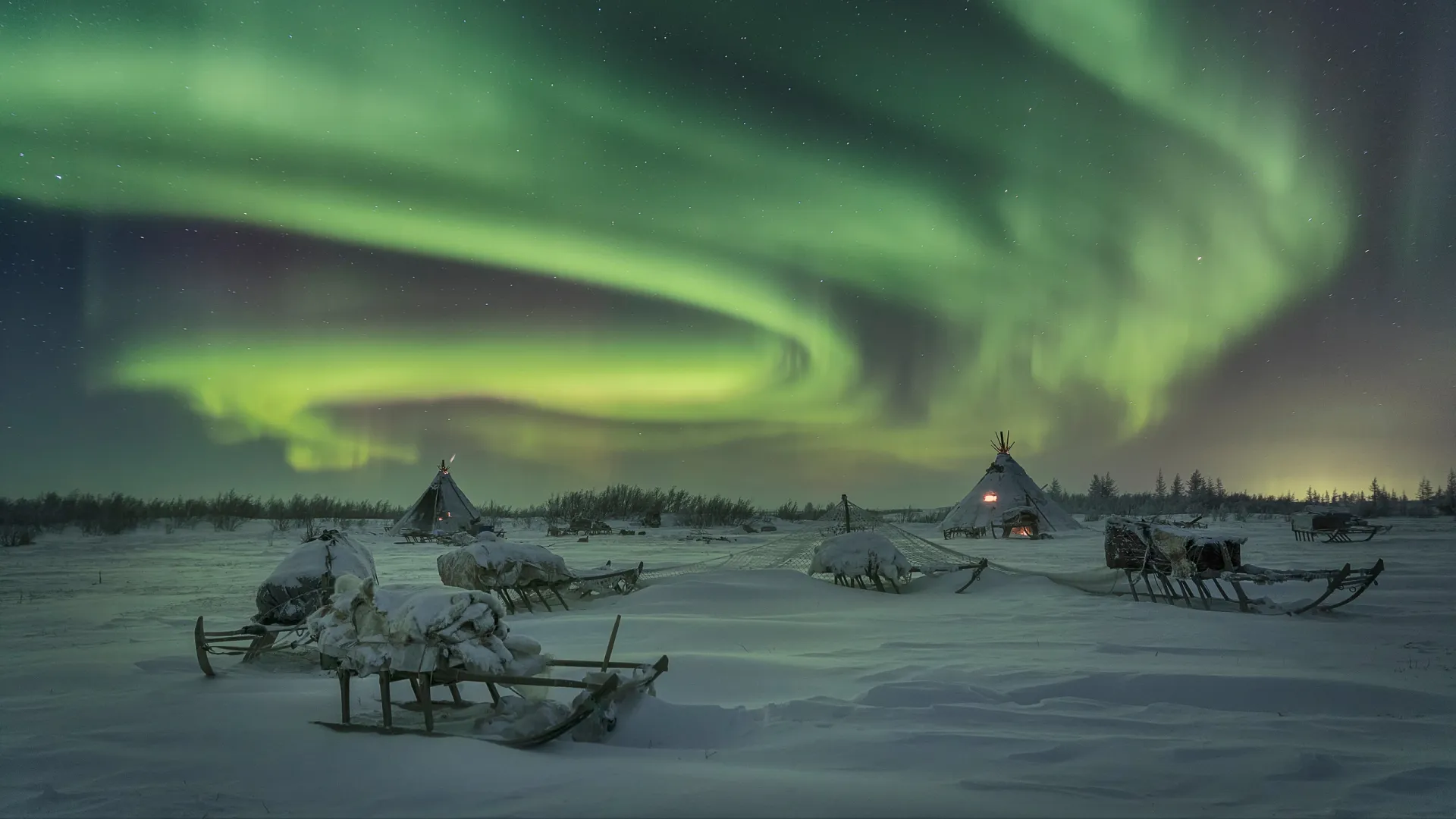 Северное сияние в полярную ночь на Ямале. Фото: V.Timoshenko / Shutterstock / Fotodom