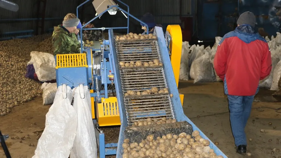 В сортировке картофеля помогает специальный аппарат. Фото: предоставлено пресс-службой губернатора ЯНАО