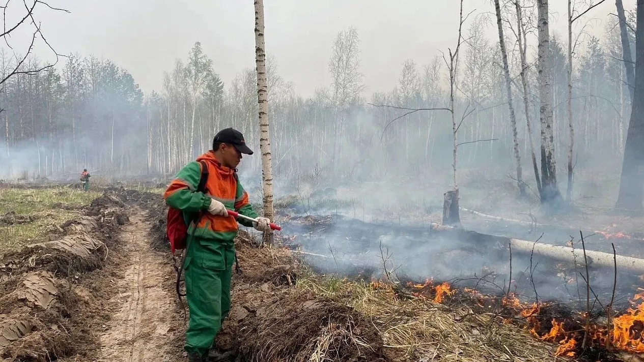 Большинство природных пожаров на Ямале смогли потушить в первые сутки. Фото: предоставлено пресс-службой губернатора ЯНАО