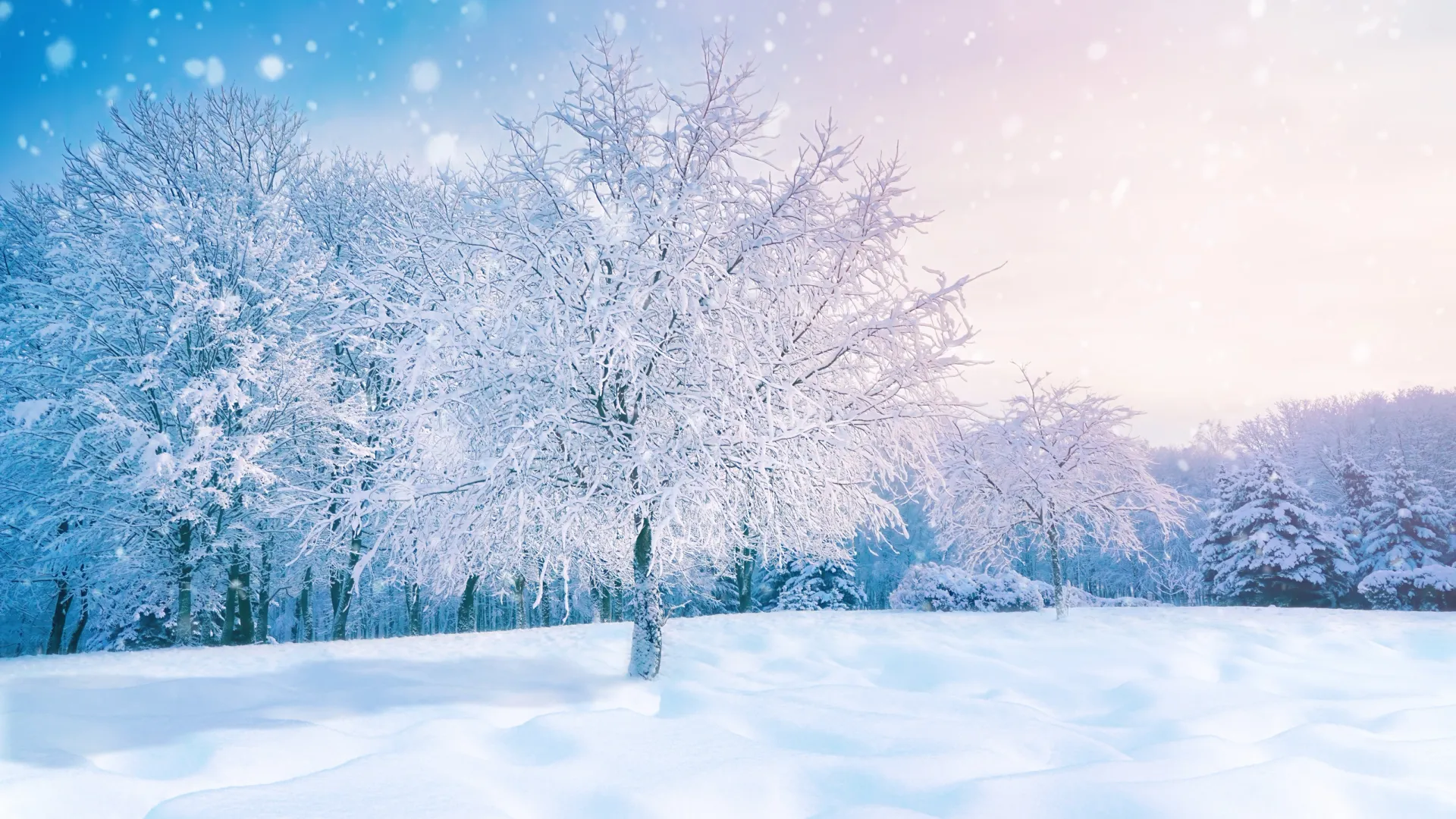 Ясный морозный день — к суровой зиме. Фото: LedyX / Shutterstock / Fotodom