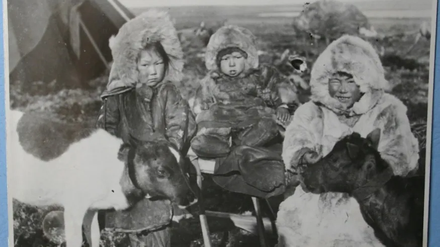 Юные кочевники с оленятами. Фото: из альбома Владимира Евладова