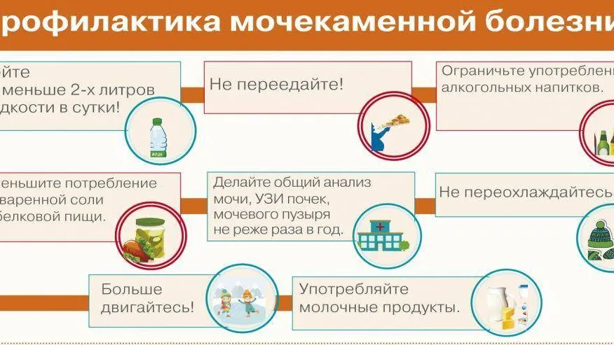 Инфографика Анастасии Назаровой