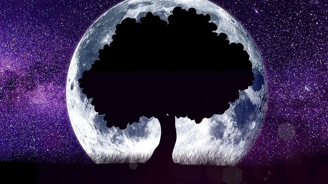 16 лет в лунах. Луна астрономия. Картинка Древо на фоне Луны. Древо жизни Планета космос.