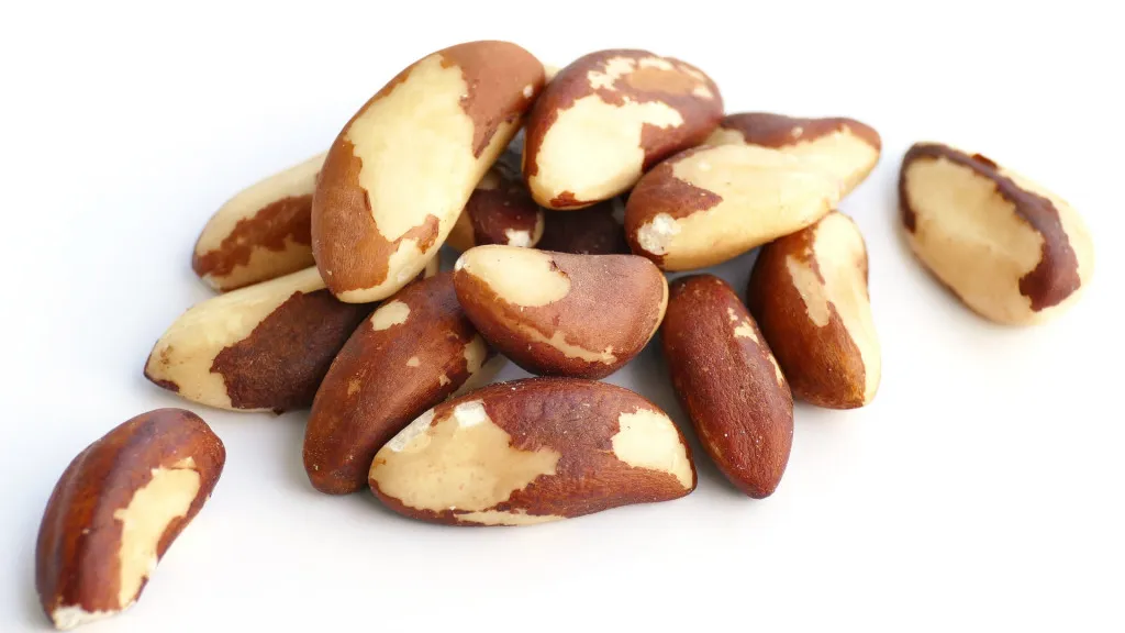 Бразильских орехов в день можно без опаски скушать только одну штучку. Фото: pixabay.com