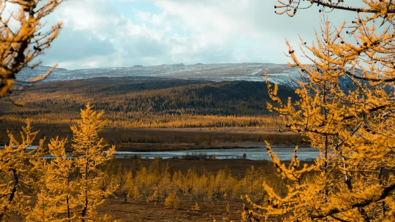 Волонтеров ожидают прекрасные виды природного парка «Ингилор». Фото: предоставлено Арктическим центром добровольчества