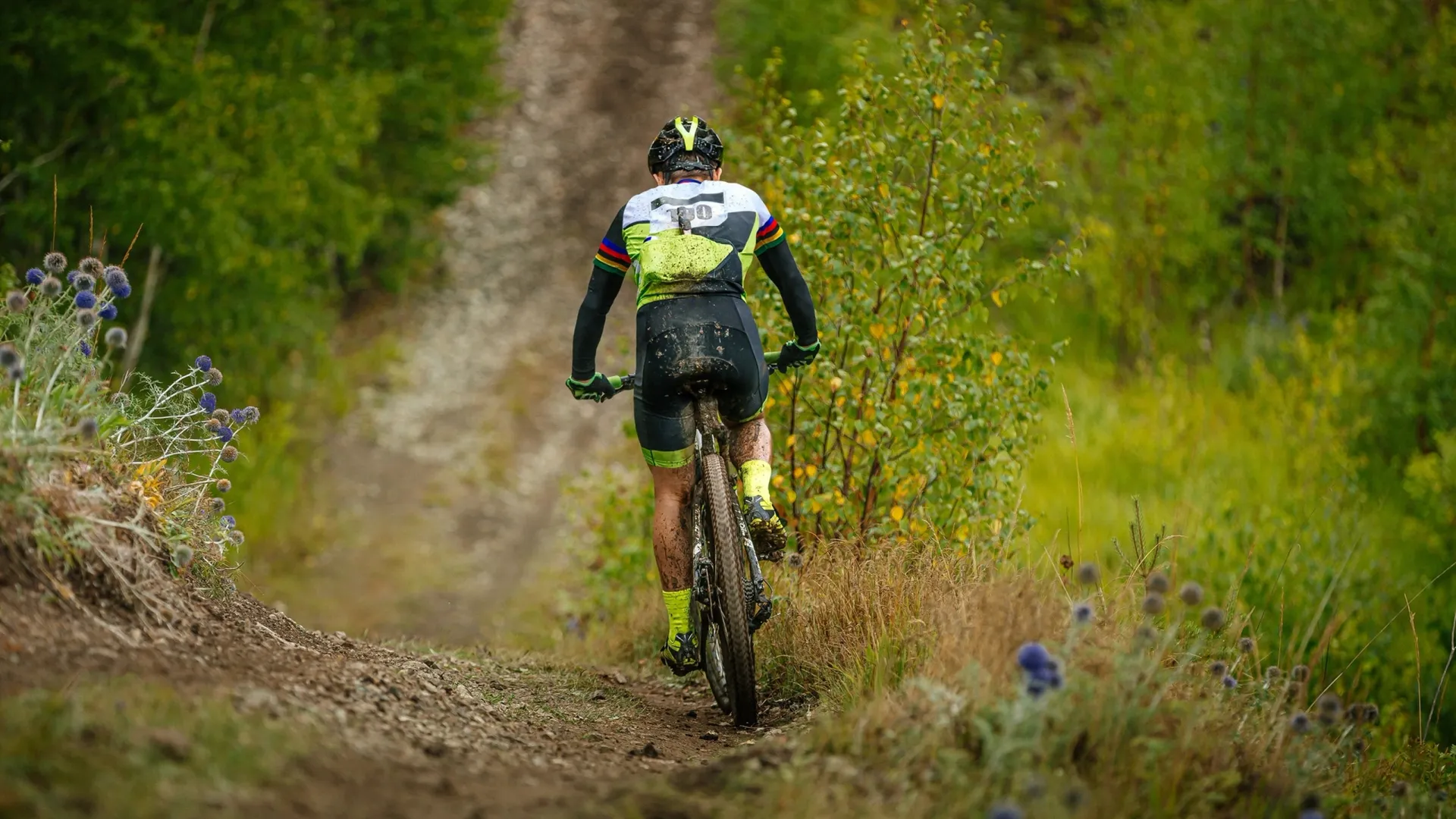 В категории "Профи" велосипедистам предстоит преодолеть 10 этапов. Фото: Real Sports Photos / Shutterstock / Fotodom