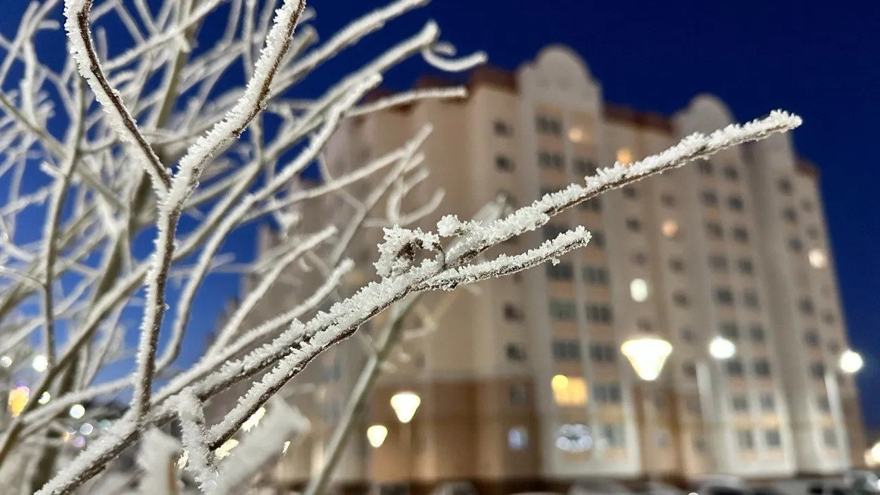Нормой для ноября на Ямале считается минус 14,5 градусов.  Фото: Андрей Ткачев / «Ямал-Медиа»