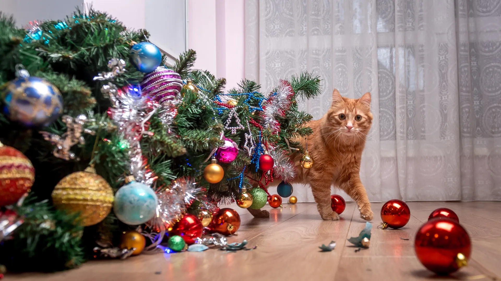 Рано или поздно кот все равно уронит елку. Фото: Sharomka / Shutterstock / Fotodom