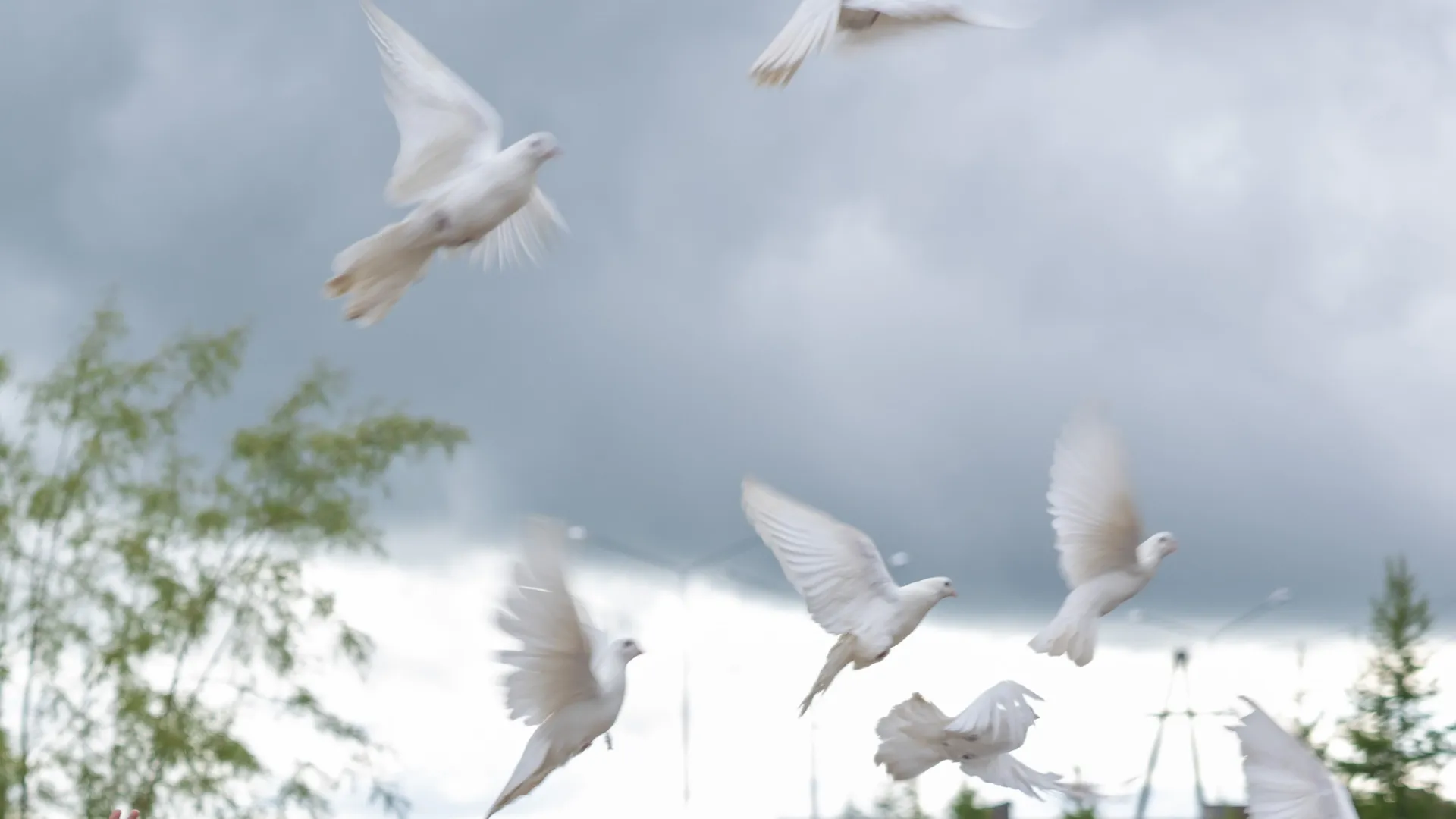 По традиции на Благовещение выпускают на волю птиц. Фото: Фёдор Воронов / АНО «Ямал-Медиа»