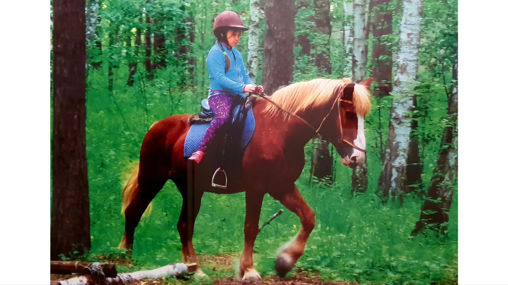 Первого учебного коня юной наездницы звали Лучик. Все эти годы над кроватью девочки висел его снимок. Фото: предоставлено из личного архива Лии Кайзер