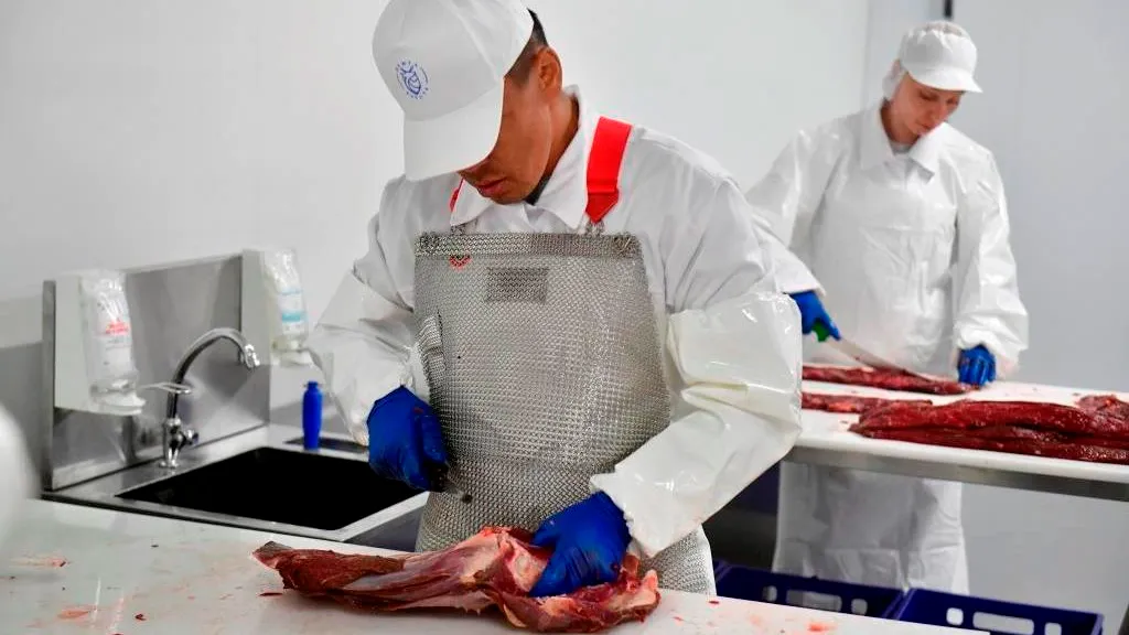 Площадь нового цеха позволяет развернуть глубокую переработку мяса. Фото: Андрей Ткачёв / КРАСНЫЙ СЕВЕР