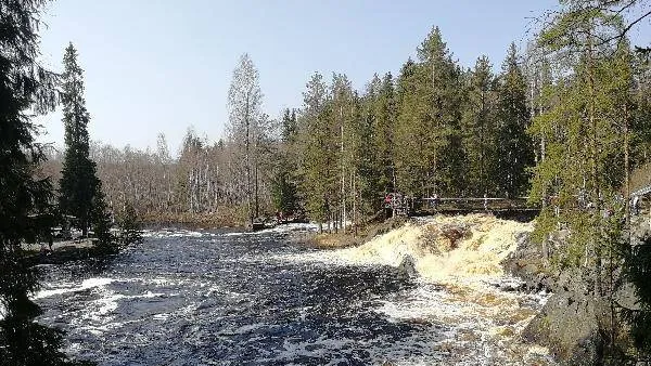 Фото: Екатерина Герман / «Красный Север»