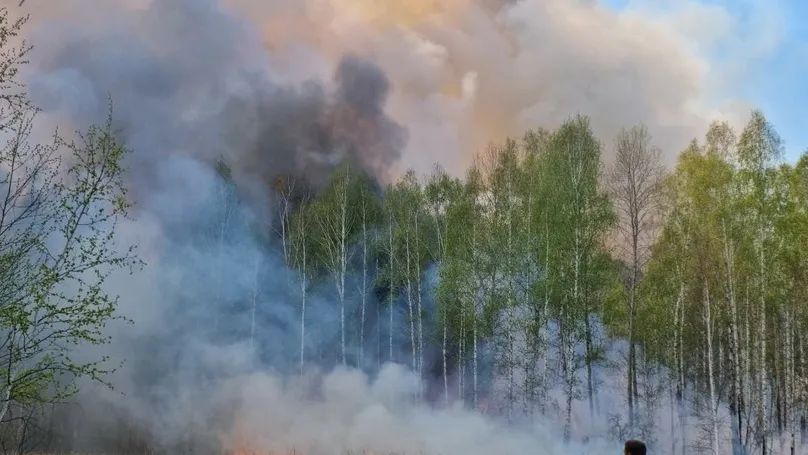 Фото: группа «Ямалспас Таркосалинский ПСО», «ВКонтакте»