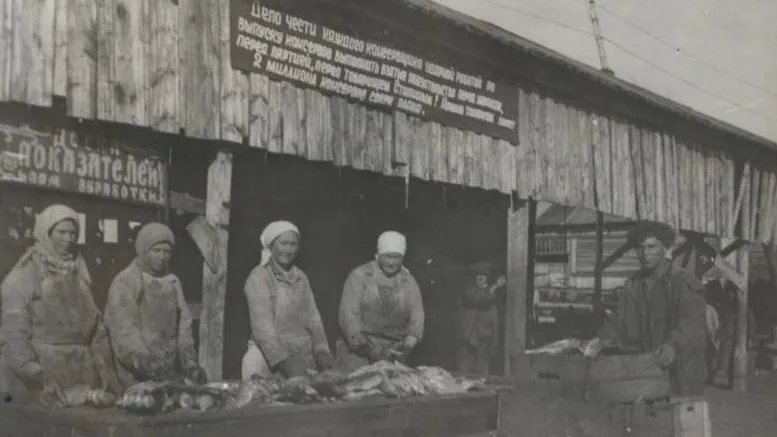 Группа рабочих за сортировкой рыбы, Салехардский консервный комбинат. Фото: архив МВК им. И.С. Шемановского.