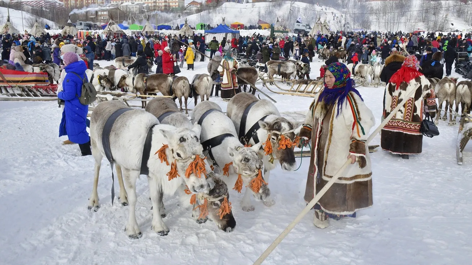 День оленевода - самый любимый и массовый праздник на Ямале. Фото: Андрей Ткачёв / "Ямал-Медиа"