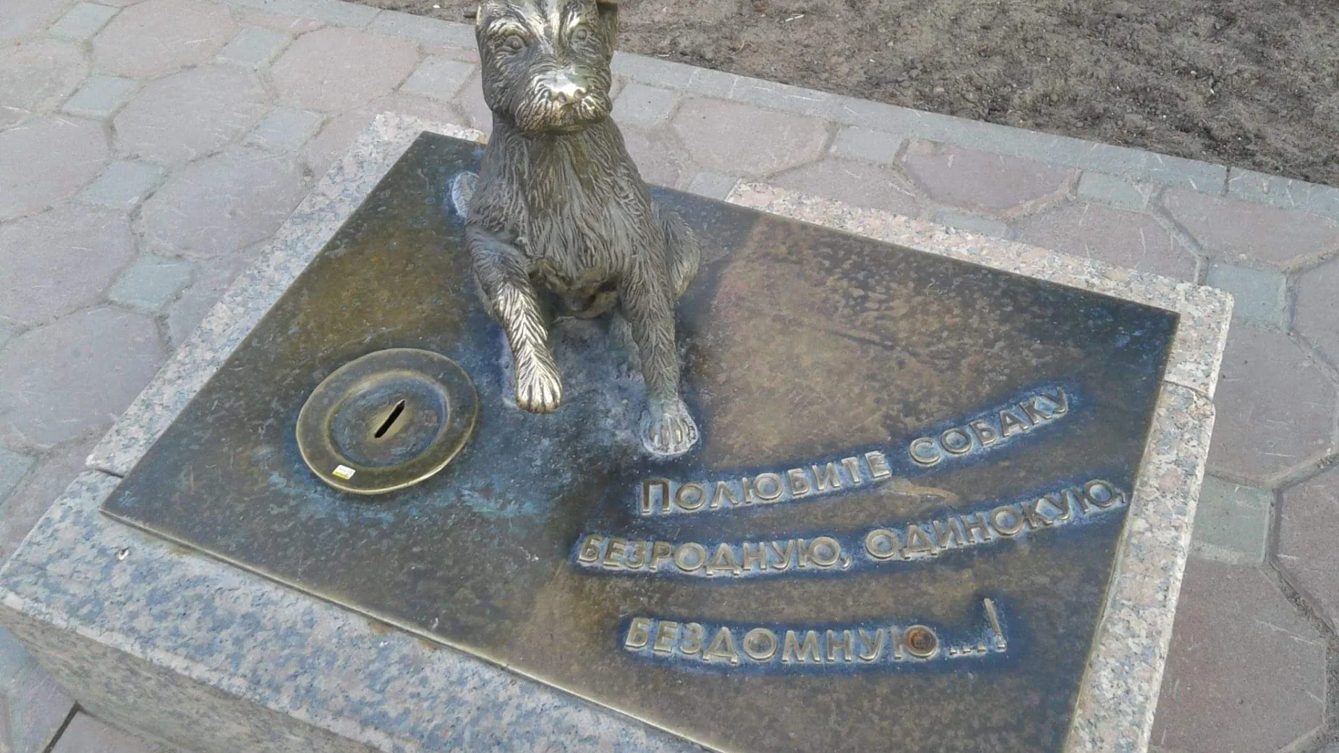 Памятник-копилка бездомным собакам в Тюмени. Подобные есть в Оренбурге и других городах. Фото: Елена Миленина / Ямал-Медиа